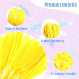Feathers for Crafting, 250 Pcs 3 Size Natural Feathers White Black Yellow Pink Goose Feathers for DIY Dream Catchers Home Decor Wedding Party Decorations (Yellow)
