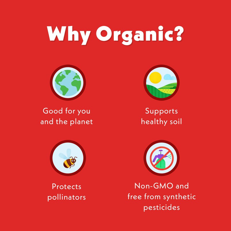 Once Upon A Farm Organic Coconut Melts with Probiotics, Strawberry