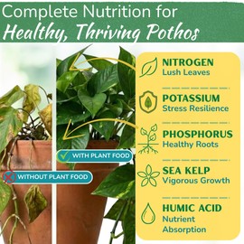 Pothos Fertilizer – Liquid Plant Food for Strong Roots, Healthy Growth & Lush Foliage – 3-3-3 NPK Formula with Sea Kelp, Humic & Fulvic Acid – Essential Nutrients for Neon Pothos or Devil’s Ivy – 8 oz
