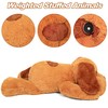 JellyMallow 5lbs 24 Inch Dog Weighted Stuffed Animals, Weighted Dog