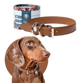 AMIKOO | Collar para Perro | Diseño Artesanal Mexicano | Hecho de Piel Vegana | Compra con Causa | Accesorios para Perros | Cruelty Free | Café | Talla S
