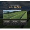 Organic Ceremonial Grade Matcha Powder - Japanese Green Tea
