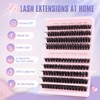 Oreola Cluster Eyelashes, 80D, 100D, Individual Eyelashes, D Curl, False