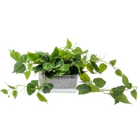 MyGift Artificial Pothos Plants Indoor, Fake Green Leaves Potted in 8 Inch Clear Glass Planter Box with White Pebbles, Faux Greenery Vines Table Centerpiece Home Decor