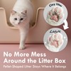 Lady N Cat Attract Tofu Litter – Natural Attractant Formula