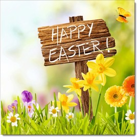 doodlecards Easter Card Happy Easter Sign Square Size with Plain Envelope