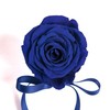 ROSEMARIE SCHULZ Heidelberg Small Rose Box White Round Infinity Rose