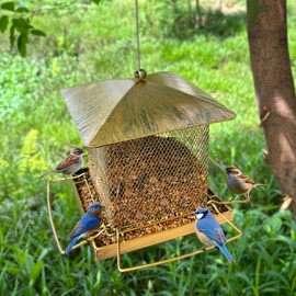 Bird Feeder for Outside, Hanging Bird Feeder,Heavy Duty Metal Squirrel Proof Wild Bird Feeders,Large Capacity Birdfeeder (Heavy Metal-Bronzer)