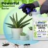 Mighty Mint Gallon (128 oz) Insect and Pest Repellent Peppermint