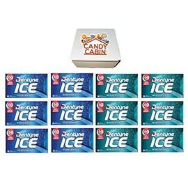 Dentyne Ice Sugar Free Gum, Variety Pack , 12 Packs of 16 Pieces By CANDY CABIN (PEPPERMINT- WINTER CHILL)