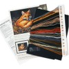 Dimensions Sunlit Fox Counted Cross Stitch Kit, 14 Count Black
