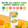 True Orange 100ct (Pack of 1) - Water Enhancer -