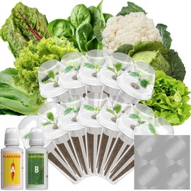 Mix Salad Seed Pods for Aerogarden, Ahopegarden, iDOO Hydroponics Growing System Indoor Herb Garden, 400+ Seeds(12-Pods)