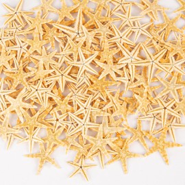 QEQEKAKA QEQEKAKA 100 PCS Starfish for Crafts 0.4" to 1" Natural Small Starfish Decor Bulk, Mini Starfish for Wedding Beach Theme Decor Home DIY Crafts Decor