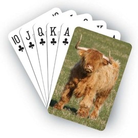 Glen Appin of Scotland Highland Cow Playing Cards AP2030