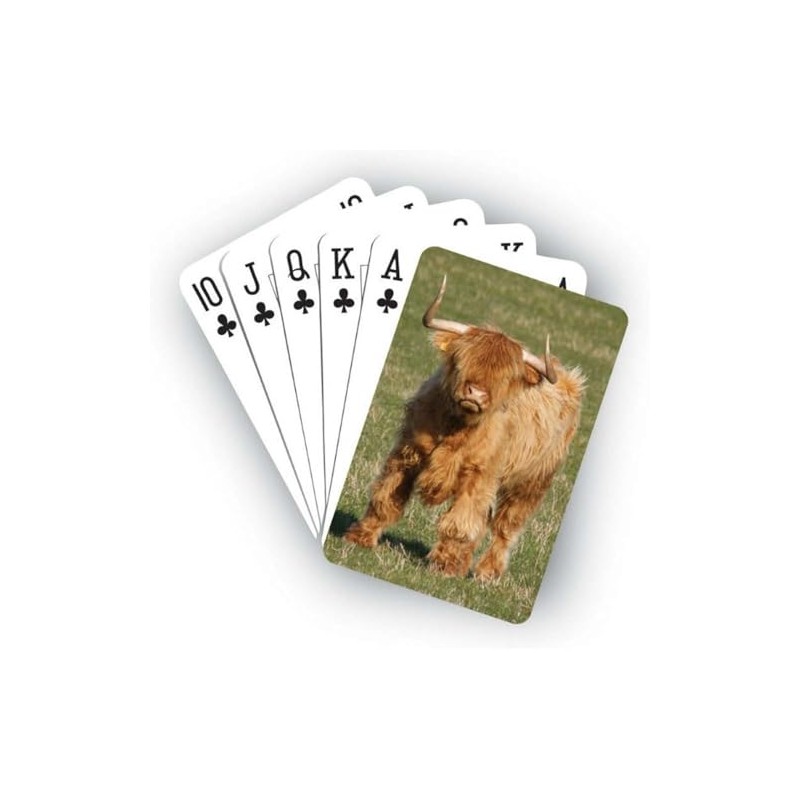 Glen Appin of Scotland Highland Cow Playing Cards AP2030