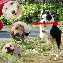 2 PCS Doggy Durable Chew toy Durable Dog Chew Toy Dental Care A Chew Stick for Teething Puppies Washable Flexible Floating Swimming Pool Dog Toy (Large)