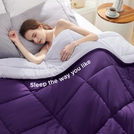 Bedsure Comforters Queen Size -Duvet Insert Purple/Pale Purple Down Alternative Comforter Quilted All Season Duvet with Tabs-Machine Washable-Gifts for Women(Purple/Pale Purple,Queen 88x88)