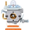 HIPA PB-580T Carburetor for Echo Blower PB-580 PB 580T PB-580H