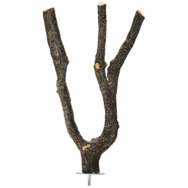 Living World Nature's Perch, Small