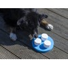 Sniffing Set for Dogs with Three Cans and Clicker, Sense