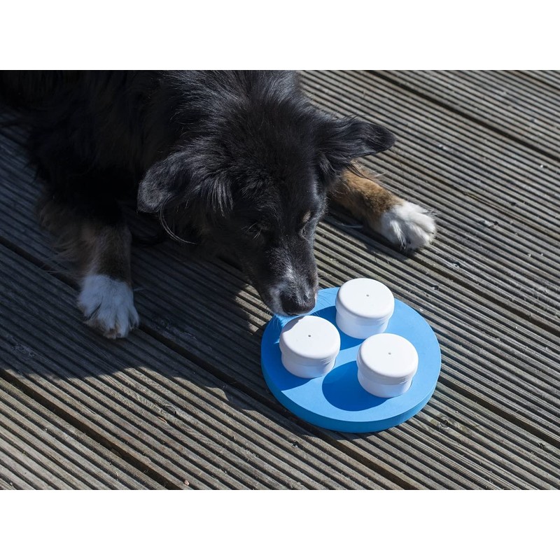 Sniffing Set for Dogs with Three Cans and Clicker, Sense