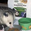 Premium Insectivore Diet (8 lb.) - Healthy Nutritious Chicken Based