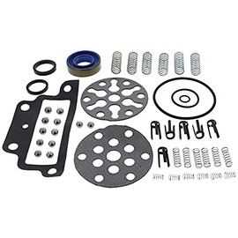 Complete Tractor1101-1009 Pump Repair Kit Compatible with/Replacement for Ford Holland 3055, 3110, 3120, 3150, 3300, 3310, 333, 3330, 335, 340, 3400, 340A, 3500, 3550 Indust/ConstTractor - Ckpn600A