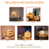 White EVA Flower Table Lights, LED 3000K Warm Lighting, 3*AA