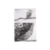 Maxwell & Williams Marini Ferlazzo Tea Towel with Kookaburra Design,