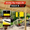 LULUCATCH Sticky Fly Trap Indoor, 10 Pack Hanging Flies Catcher