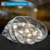 MDLUU Glass Shell Vase, 10-Inch Seashell Potpourri Holder, Decorative Conch