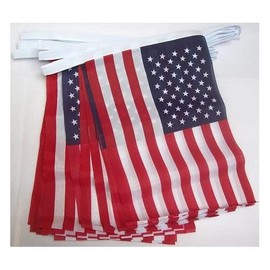 AZ FLAG United States 6 meters BUNTING Flag 20 flags 9'' x 6'' - USA - US - American STRING flags 15 x 21 cm
