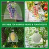25Pcs 8 x 12 inch Fruit Protection Wire mesh Bags,