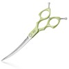 HASHIMOTO Curved Scissors for Dog Grooming, Dog Grooming Scissors Curved,