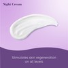 Pearl Diamond Night Cream, 50 g, Edition of Pearl Blue