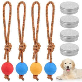 GZcaiyun Dog Ball with Cord, Pack of 4 Dog Toy Balls with Rope and 4 Odour Training Boxes, Throwing Ball Dog Soft and Elastic, Extremely Wide Throws (5 cm, Red, Blue, Yellow)