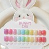 Yogurt Gel Bunnychu 10 types of individual items Spring Syrup