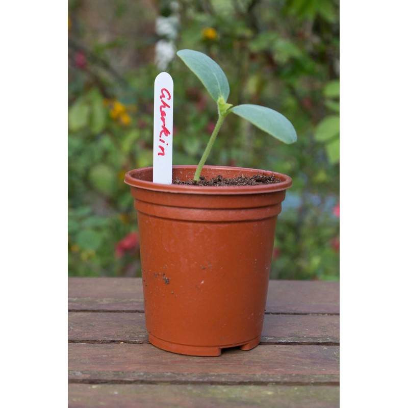 etree 50 x Plastic Plant Labels Black 5"
