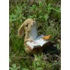 Gemmia Miniature Reading Book Figurine- Be Quiet Learning Dog