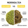 TEACURRY Moringa Tea (1 Month Pack, 30 Tea Bags) -