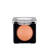 Flormar Baked Blush-On Highly Pigmented & Natural Shimmering Baked Blush
