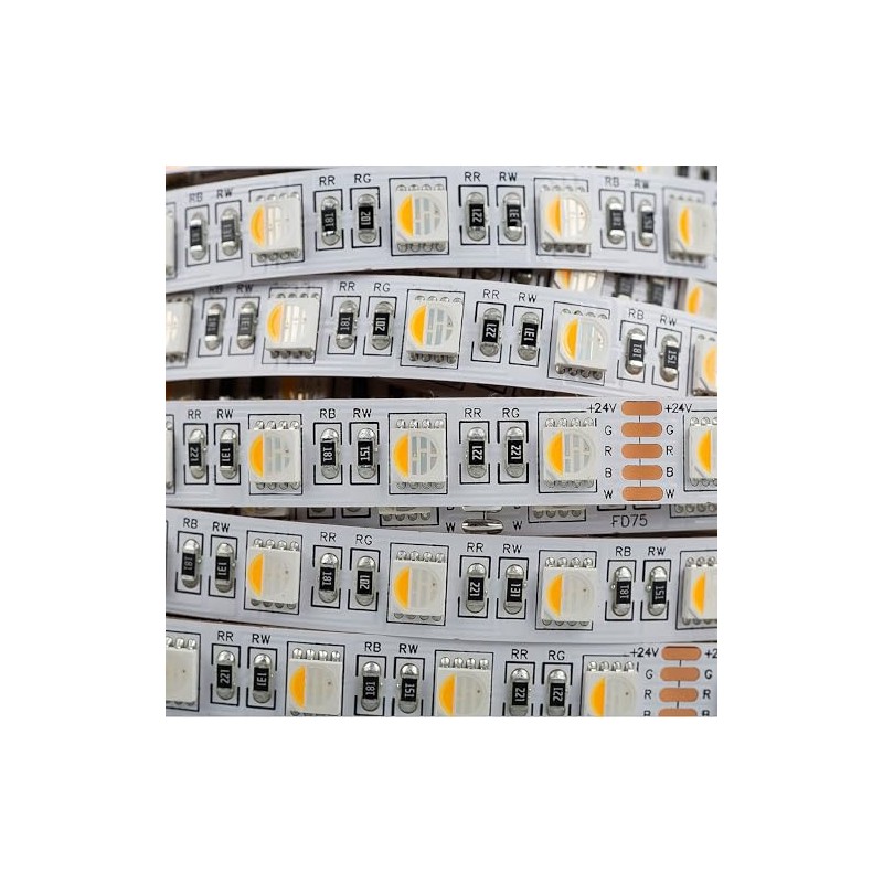 Mextronic LED Strip LED Strip 5050 RGB + White (6000K)