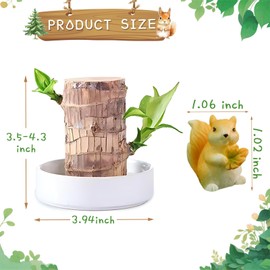 Brazilian Lucky Wood Plant,Fortune Brazil Wood Potted Plant with Squirrel,Mini Brazil Decoration, Mini Brazil Woods Indoor/Outdoor for Desk Decoration Home Office Decoration