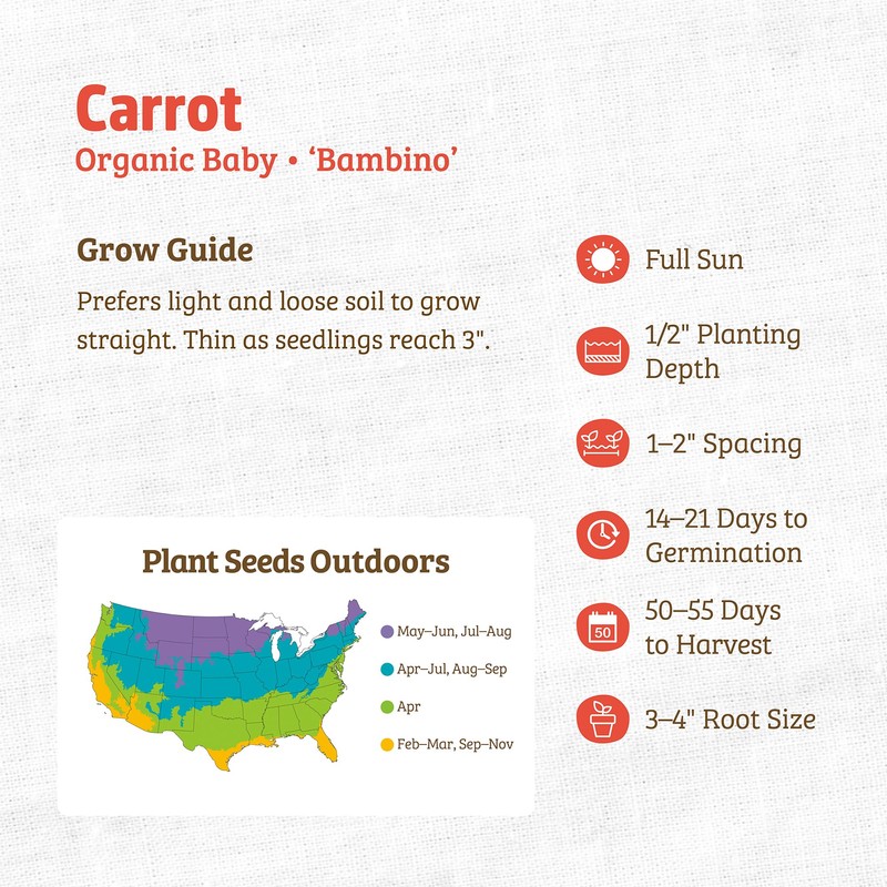 Back to the Roots 100% Organic Seed Packet - Carrot