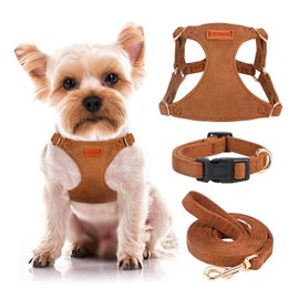 No Pull Dog Harness- Lightweight, Soft, Adjustable Small Harness Collar and Leash Set, Suitable for Cats Puppy Small and Medium-Sized Dog Outdoor Training and Running (Brown, XXS)