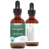 Herb Lore Organic Astragalus Root Extract Tincture – Alcohol-Free Liquid