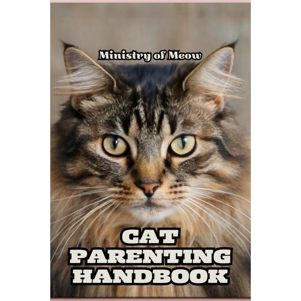  Cat Parenting Handbook: How to raise your kitten the