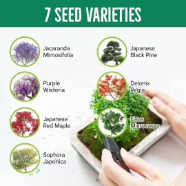 REALPETALED Bonsai Starter Kit, Japanese Bonsai Tree Kit with Bonsai Tools, 7 Seeds Set Pots