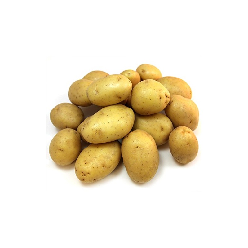 Butter Golden Yellow Potato (10 lb. bag)